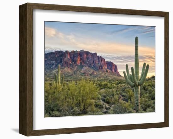 Cacti View II-David Drost-Framed Photographic Print