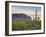 Cacti View II-David Drost-Framed Photographic Print