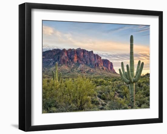 Cacti View II-David Drost-Framed Photographic Print