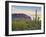 Cacti View II-David Drost-Framed Photographic Print