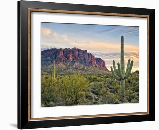 Cacti View II-David Drost-Framed Photographic Print