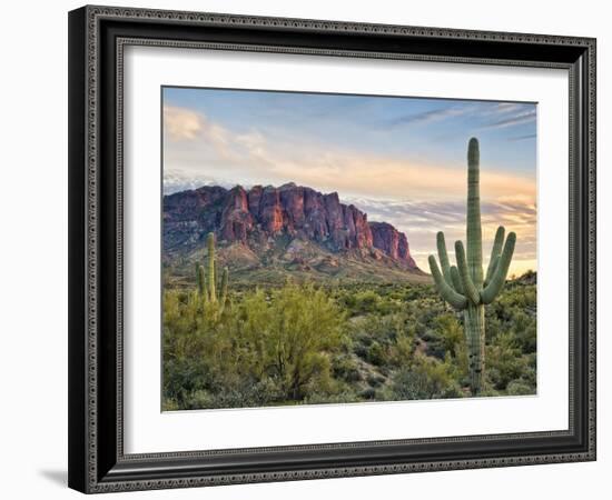 Cacti View II-David Drost-Framed Photographic Print