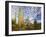 Cacti View III-David Drost-Framed Photographic Print
