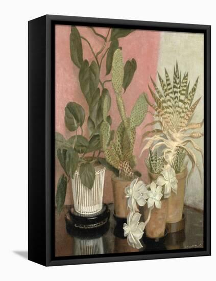 Cacti-Leonard Campbell Taylor-Framed Premier Image Canvas