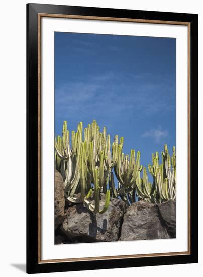 Cacto Seia-Alan Copson-Framed Giclee Print