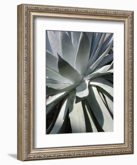 Cactus 2-Jenny Kraft-Framed Art Print