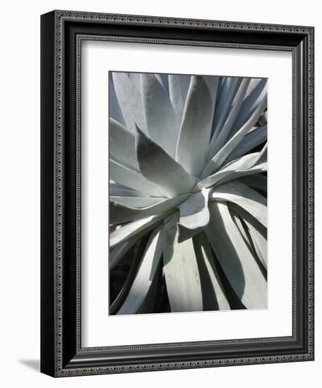 Cactus 2-Jenny Kraft-Framed Art Print