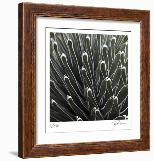 Cactus 34-Ken Bremer-Framed Limited Edition