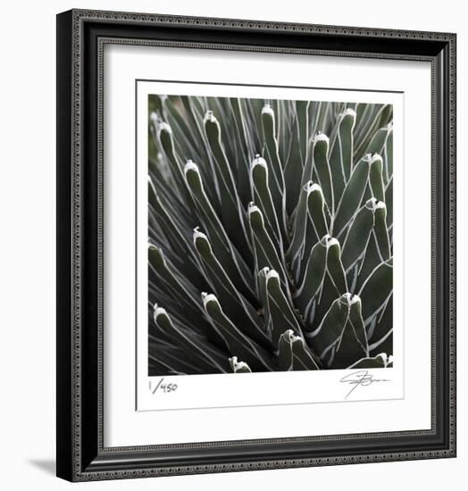 Cactus 34-Ken Bremer-Framed Limited Edition