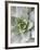 Cactus 3-Jenny Kraft-Framed Art Print