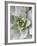 Cactus 3-Jenny Kraft-Framed Art Print