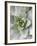 Cactus 3-Jenny Kraft-Framed Art Print