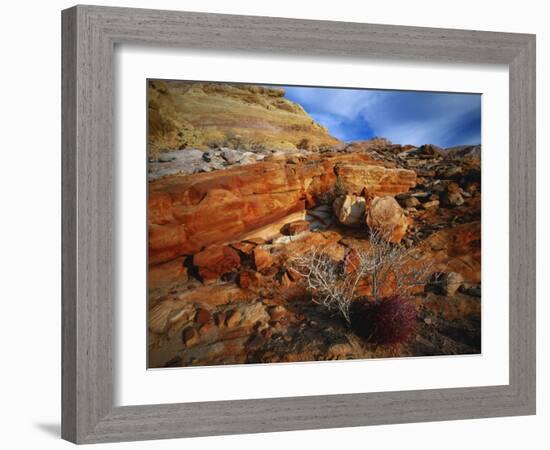 Cactus Among Rocks, Mojave Desert, Valley of Fire State Park, Nevada, USA-Scott T. Smith-Framed Photographic Print