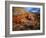 Cactus Among Rocks, Mojave Desert, Valley of Fire State Park, Nevada, USA-Scott T. Smith-Framed Photographic Print