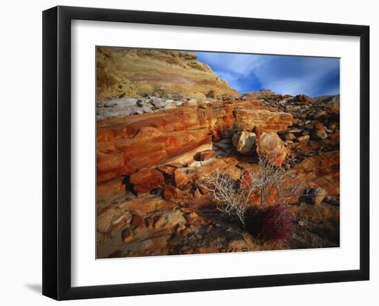 Cactus Among Rocks, Mojave Desert, Valley of Fire State Park, Nevada, USA-Scott T. Smith-Framed Photographic Print