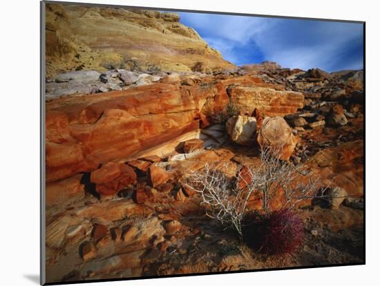 Cactus Among Rocks, Mojave Desert, Valley of Fire State Park, Nevada, USA-Scott T. Smith-Mounted Photographic Print