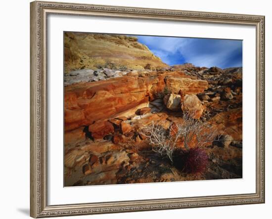 Cactus Among Rocks, Mojave Desert, Valley of Fire State Park, Nevada, USA-Scott T. Smith-Framed Photographic Print