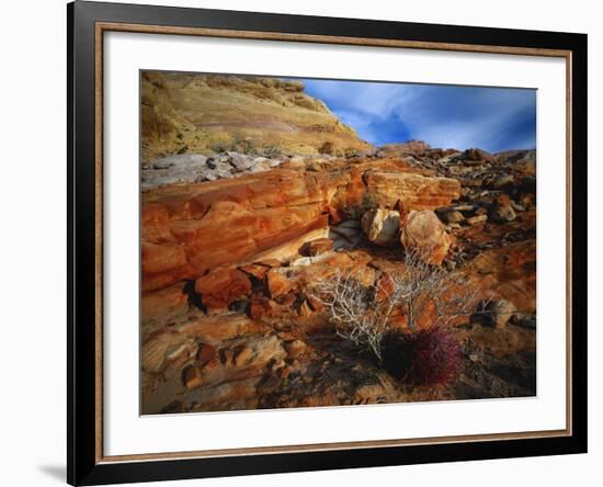 Cactus Among Rocks, Mojave Desert, Valley of Fire State Park, Nevada, USA-Scott T. Smith-Framed Photographic Print