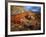 Cactus Among Rocks, Mojave Desert, Valley of Fire State Park, Nevada, USA-Scott T. Smith-Framed Photographic Print