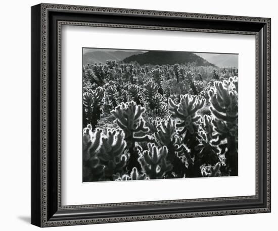 Cactus and Landscape, c. 1940-Brett Weston-Framed Photographic Print