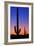 Cactus and Moon-Lantern Press-Framed Art Print