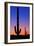 Cactus and Moon-Lantern Press-Framed Art Print