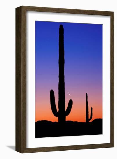 Cactus and Moon-Lantern Press-Framed Art Print