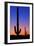 Cactus and Moon-Lantern Press-Framed Premium Giclee Print