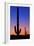 Cactus and Moon-Lantern Press-Framed Premium Giclee Print