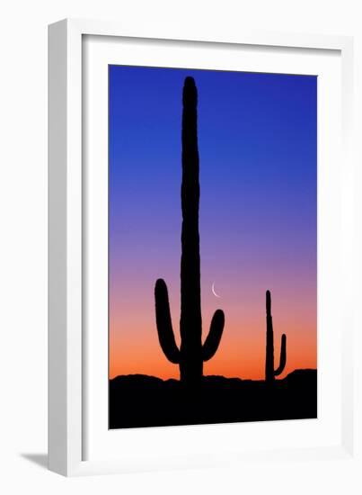 Cactus and Moon-Lantern Press-Framed Premium Giclee Print