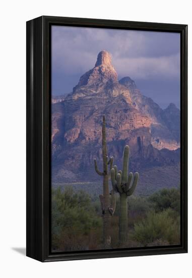 Cactus and Picacho Peak-DLILLC-Framed Premier Image Canvas