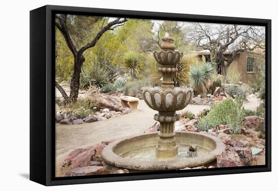 Cactus and Succulent Garden with Water Fountain, Tucson, Arizona, USA-Jamie & Judy Wild-Framed Premier Image Canvas