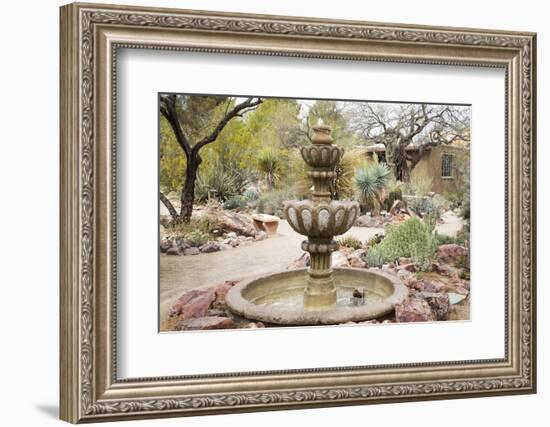 Cactus and Succulent Garden with Water Fountain, Tucson, Arizona, USA-Jamie & Judy Wild-Framed Photographic Print