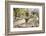 Cactus and Succulent Garden with Water Fountain, Tucson, Arizona, USA-Jamie & Judy Wild-Framed Photographic Print