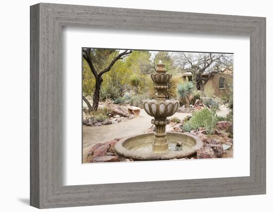 Cactus and Succulent Garden with Water Fountain, Tucson, Arizona, USA-Jamie & Judy Wild-Framed Photographic Print