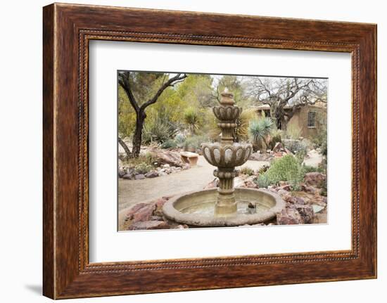 Cactus and Succulent Garden with Water Fountain, Tucson, Arizona, USA-Jamie & Judy Wild-Framed Photographic Print