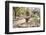 Cactus and Succulent Garden with Water Fountain, Tucson, Arizona, USA-Jamie & Judy Wild-Framed Photographic Print