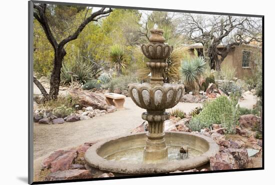 Cactus and Succulent Garden with Water Fountain, Tucson, Arizona, USA-Jamie & Judy Wild-Mounted Photographic Print