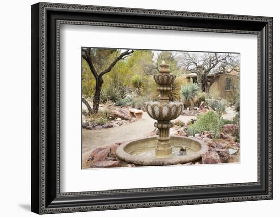 Cactus and Succulent Garden with Water Fountain, Tucson, Arizona, USA-Jamie & Judy Wild-Framed Photographic Print