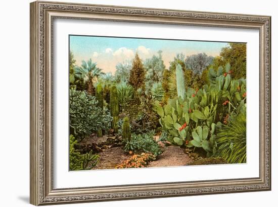 Cactus and Succulent Garden-null-Framed Art Print