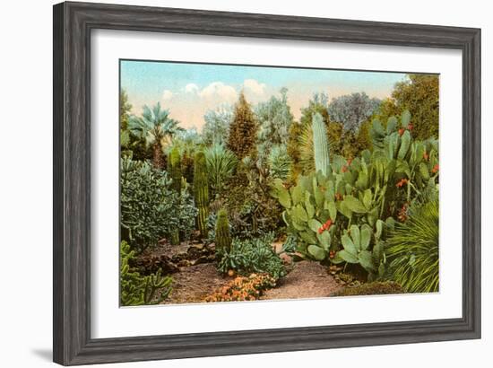 Cactus and Succulent Garden-null-Framed Art Print