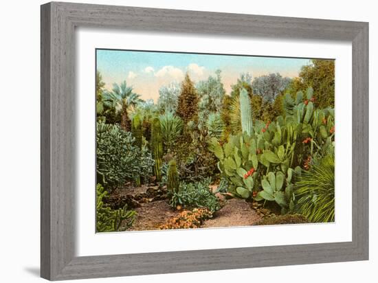 Cactus and Succulent Garden-null-Framed Art Print