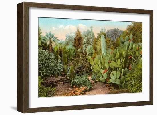 Cactus and Succulent Garden-null-Framed Art Print