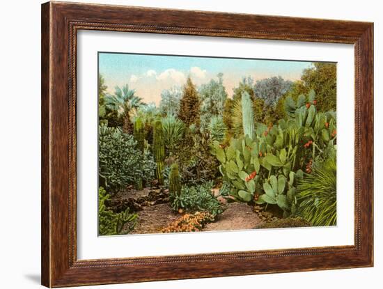 Cactus and Succulent Garden-null-Framed Art Print