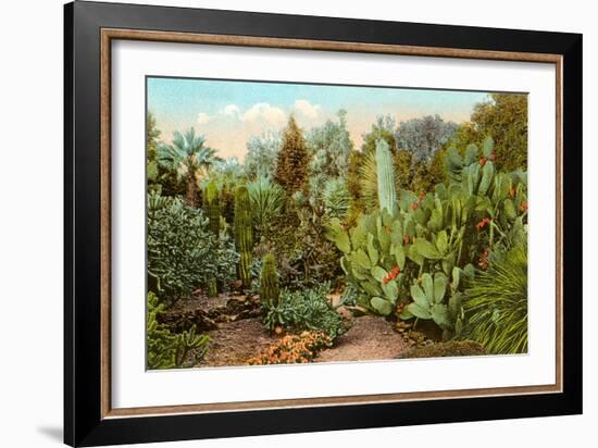 Cactus and Succulent Garden-null-Framed Art Print