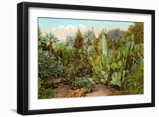 Cactus and Succulent Garden-null-Framed Art Print