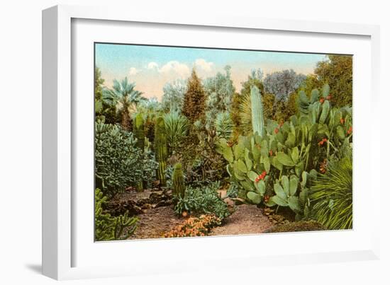 Cactus and Succulent Garden-null-Framed Art Print