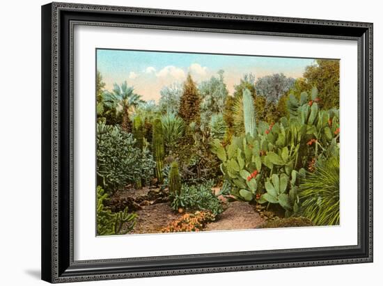 Cactus and Succulent Garden-null-Framed Art Print