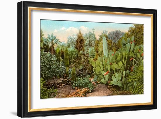 Cactus and Succulent Garden-null-Framed Art Print