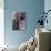 Cactus and Window, Barrio District, Tucson, Arizona, USA-Joanne Wells-Photographic Print displayed on a wall